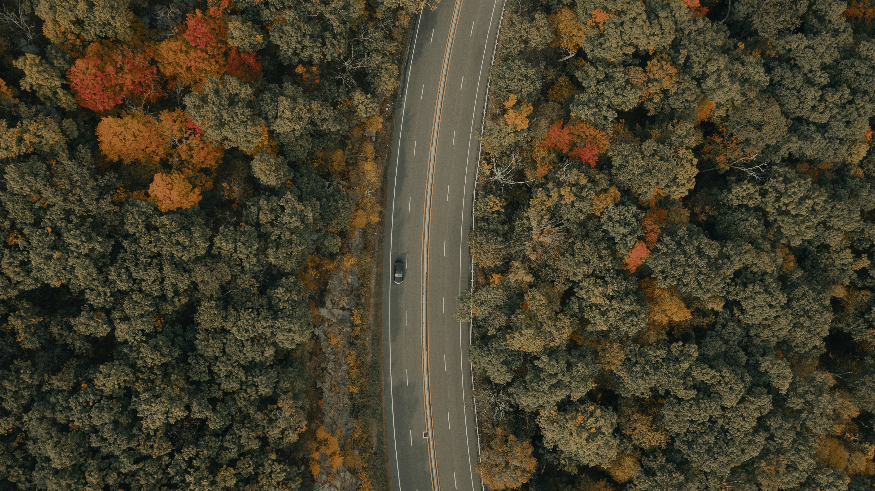 black car on road during daytime